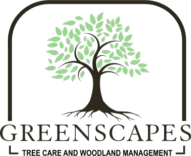 Tree Surgeon Isle Of Wight Tree Surgery IOW Greenscapes Tree Care 3