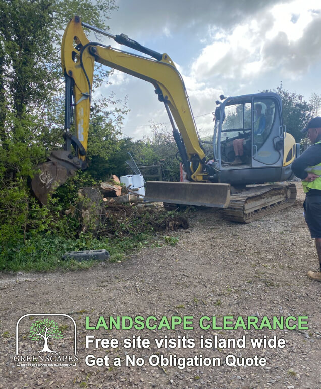 Landscape Clearance Isle of Wight Source File 2