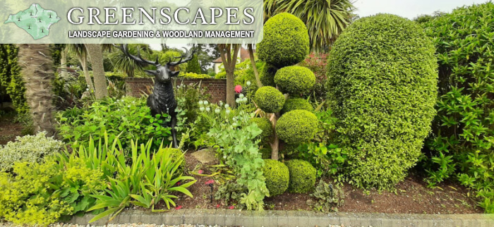 Landscape Gardening Specialist Isle of Wight 3