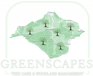 Tree Surgery Removal IOW Land Management Services Isle of Wight