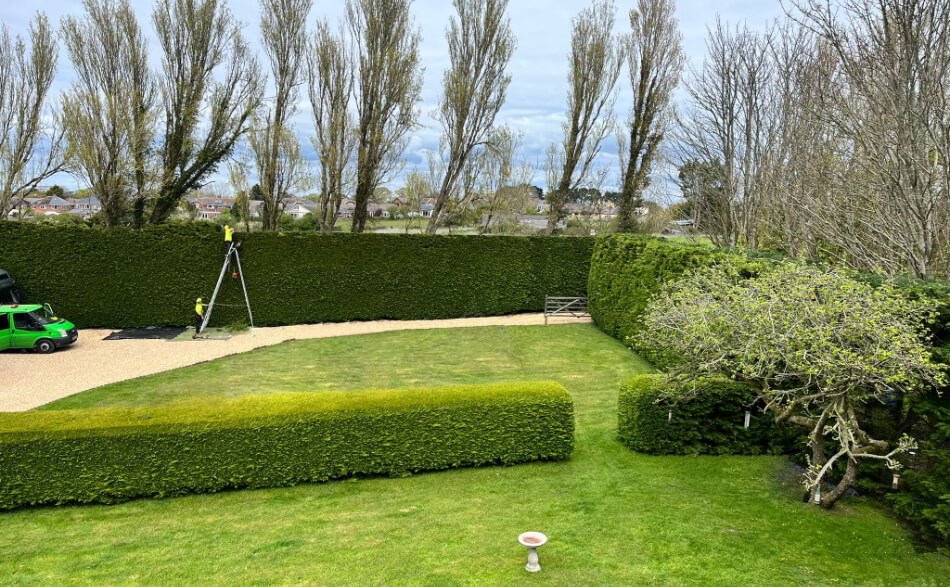 Hedge Trimming Isle Of Wight 7 45