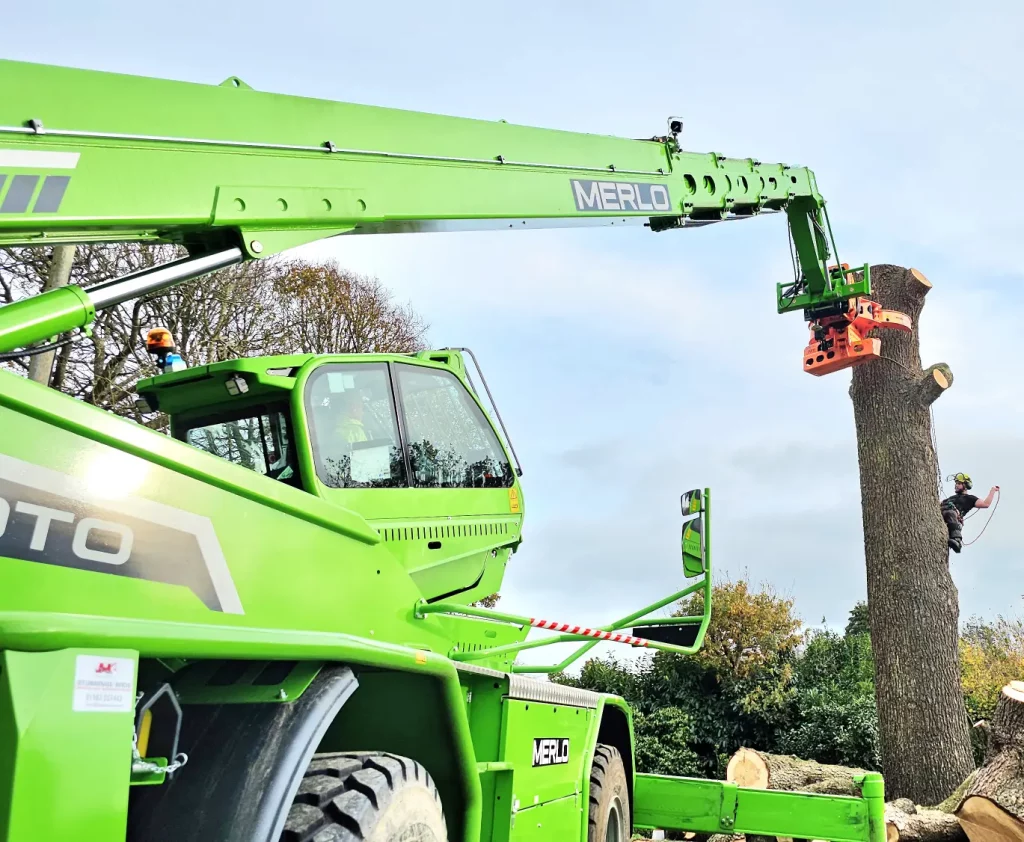 Isle Of Wight Tree Surgery services 4