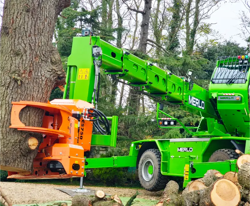 Isle Of Wight felling & tree removal (1)