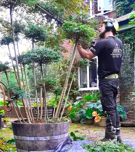 garden maintenance iow (1)