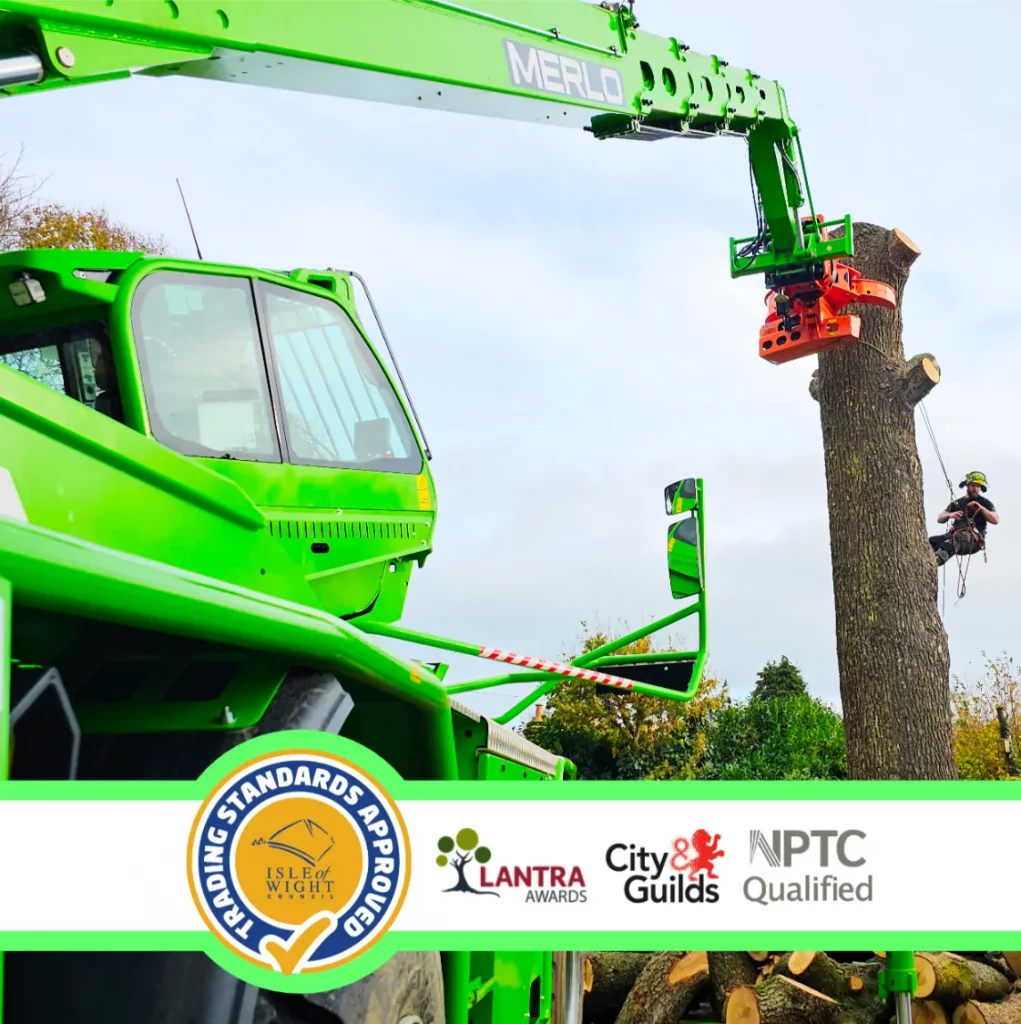 IOW Tree Surgeon Isle Of Wight Greenscapes Tree Care 1 (1)